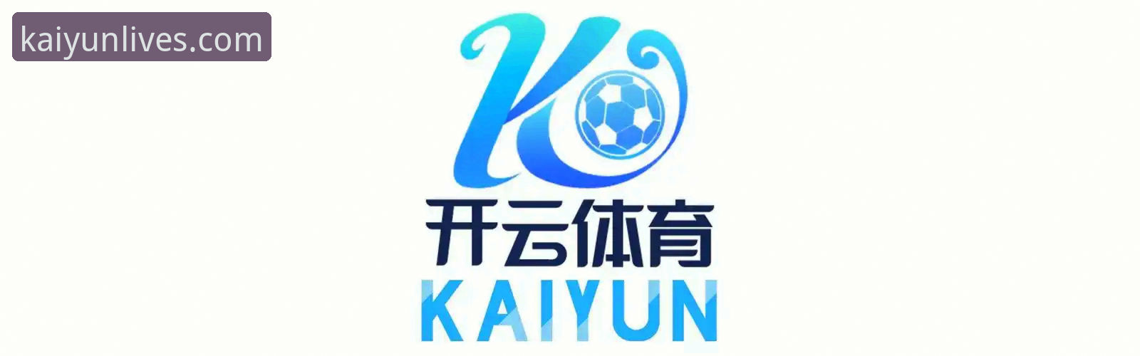 ka体育官网全平台技术评测：开云体育国际版功能与使用详解